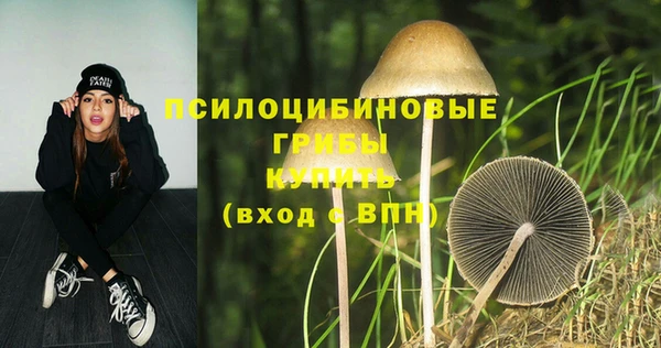 прущая мука Няндома