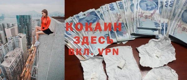 молекула духа Весьегонск