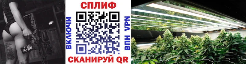 Конопля планчик  Приморско-Ахтарск 